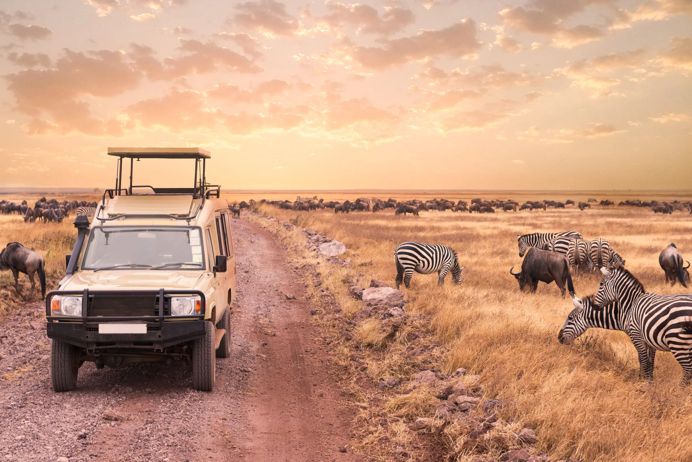 Custom open-roof Land Cruiser on safari in Kenya
